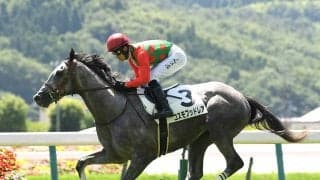 スプリングＳは中穴狙いが「吉」 過去データから導き出されたのはこの３頭