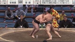 デビューから18連勝の快進撃 ウクライナ出身力士に「つよすぎやろ」の声「めっちゃイケメンでした」端正な顔立ちにもファンうっとり