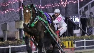 【ばんえい・イレネー記念】ライジングサンが5連勝…鈴木恵「これからオープン馬として楽しみ」