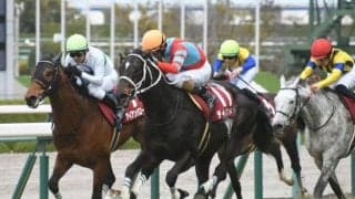 阪神大賞典当日の阪神芝 雨が降り続けばディープボンドの台頭があるかも