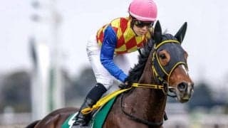 【阪神大賞典・馬体重】テーオーロイヤルは458kg(+6)、サヴォーナは536kg(+2)