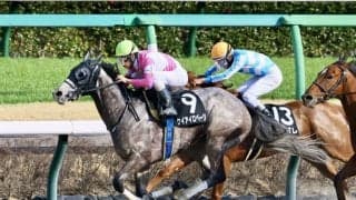 【千葉S】ケイアイロベージが馬群を割って抜け出す