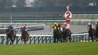 【JRA・WIN5】本日のWIN5は的中771票、配当66万2790円