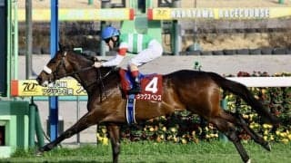 【スプリングS】シックスペンスが無傷の3連勝…クラシックへ名乗り