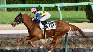 【中山12R】藤田菜七子騎乗、ヨリノサファイアが8馬身差圧勝
