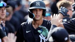 ヤ軍に現れた198cm超逸材「メジャーに呼んで」　巨漢22歳が衝撃弾「なんてスイング」