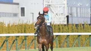 【毎日杯】ノーブルロジャー、ベラジオボンドらが登録