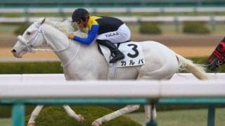 【阪神2R】ソダシの弟が初勝利…白毛馬のカルパが抜け出す