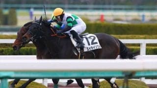 【阪神6R】クロドラバール、エイカイソウルが1着同着