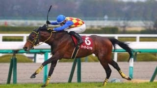 【阪神大賞典】テーオーロイヤルが5馬身差圧勝