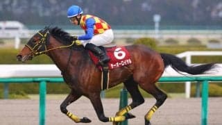 【阪神大賞典】菱田「スピード衰えることなく走ってくれた」テーオーロイヤルが圧勝