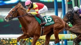 春のGIシリーズ開幕を告げる高松宮記念など4重賞/今週の競馬界の見どころ