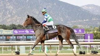 【高松宮記念登録馬】メイケイエール、トウシンマカオなど23頭