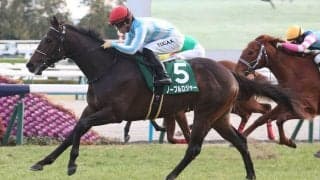 【毎日杯登録馬】ノーブルロジャーなど11頭