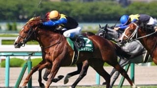 【日経賞登録馬】ボッケリーニなど11頭