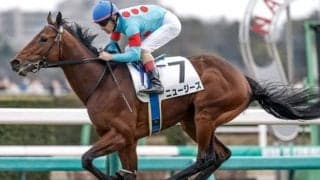 【毎日杯見どころ】まだクラシック間に合う、大器ニュージーズが無傷連勝を狙う