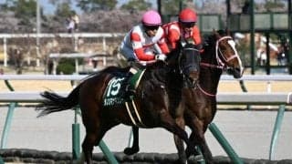 【ファルコンS】売上は31億7213万600円で昨年より約9億円増加