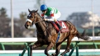 【スプリングS】売上は50億7471万1800円で昨年より約6.4億円減少