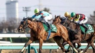 【フラワーC】売上は32億5711万8200円で昨年より約8000万円減少