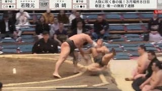 力士が土俵下に落下して審判に蹴りが決まってしまう瞬間 派手な幕切れに相撲ファンが騒然「大被弾」