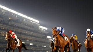ドバイWCデーの馬券発売が決定 対象の4競走にドウデュースなどが参戦