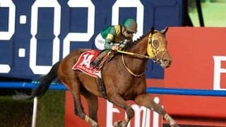 ウシュバテソーロら23頭 ドバイWCデー招待受諾の日本馬が発表
