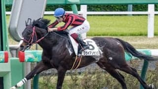 【マーチS想定騎手】ブライアンセンスは横山武史騎手、ウェルカムニュースは戸崎圭太騎手