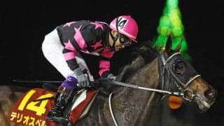 【先週のJRA抹消馬】“個性派”のダート馬テリオスベル、重賞で4度の連対実績があるララクリスティーヌなど