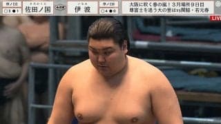 「序ノ口の体じゃない」異色の新人力士が無傷の5連勝 風格と強烈な攻めに驚きと期待の声