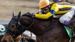 55歳初のGI制覇なるか 武豊騎手が高松宮記念17年ぶり3度目V狙う