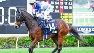 【AI予想・高松宮記念】関西馬中心も穴なら関東馬!? 波乱を予感させる人工知能の本命候補