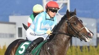 【毎日杯想定騎手】ノーブルロジャーは川田将雅騎手、ニュージーズはC.ルメール騎手