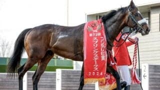 中山芝1800mで連対率57.1％のハイアベレージ スプリングS制したシックスペンスの血統背景とは
