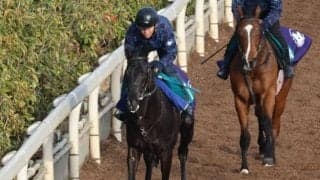 ライジングクロスの2022(クロワデュノール)など、先週の入厩情報/栗東トレセンニュース