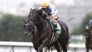 【高松宮記念予想オッズ】ナムラクレアが予想1番人気