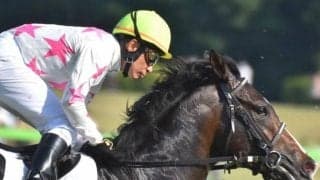 【高松宮記念】横山典弘騎手が21回目の挑戦で初制覇なるか 伏兵マテンロウオリオンで一発狙う