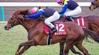 【日経賞予想オッズ】ボッケリーニが予想1番人気