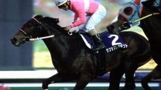 サクラプレジデントが24歳で死す 03年皐月賞などGIで2度の2着