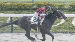 【マーチS予想オッズ】ブライアンセンスが予想1番人気