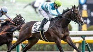 【毎日杯展望】無傷2連勝のノーブルロジャーと新星ニュージーズが激突