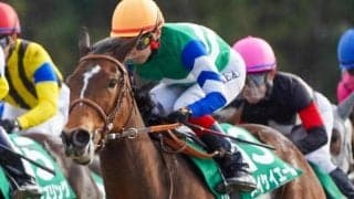 重賞6勝の「アイドル」最終章 高松宮記念で11回目のGI挑戦へ