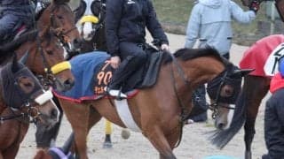 チェルヴィニア、桜花賞2週前追い切り速報/栗東トレセンニュース