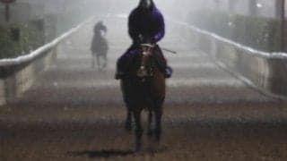 ドウデュース、ドバイターフ国内最終追い速報/栗東トレセンニュース