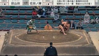 「すげぇ筋肉」力士のイメージを覆す“バキバキ”ボディにファン驚愕 強烈な下手投げにも称賛の声