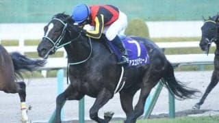 【桜花賞想定】アスコリピチェーノ、スウィープフィートなど19頭