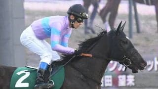 3戦3勝のローテで高松宮記念へ 重賞4勝ナムラクレアがGI制覇に挑む