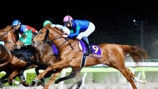 【大井・京浜盃】坂井瑠「勝ち馬が強かった」紅一点・アンモシエラは2着