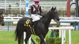 【高松宮記念展望】ルガルが連勝でGI初制覇を狙う