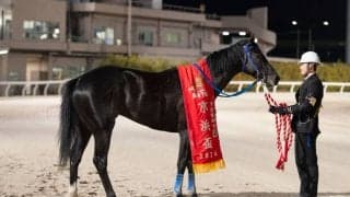 【大井・京浜盃】150%超のアップ！売上げレコードを更新…交流重賞として初開催