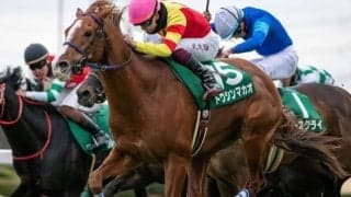 史上4組目の父系4代JRA・GI制覇なるか ビッグアーサー産駒の2頭が高松宮記念参戦